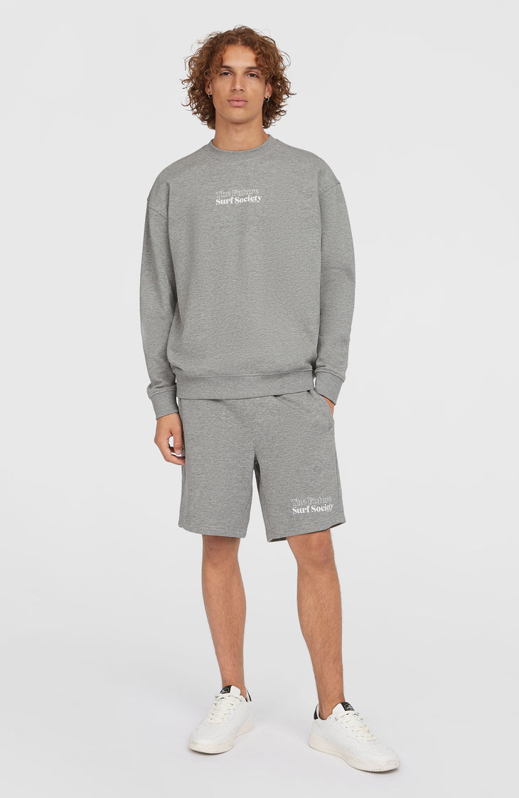 Future Surf Crew Sweatshirt | Silver Melee