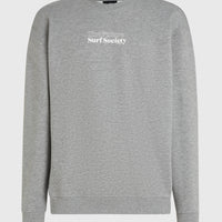 Future Surf Crew Sweatshirt | Silver Melee