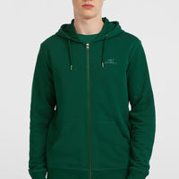 Small Logo Full-Zip Hoodie | Emerald Envy