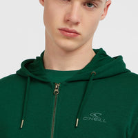Small Logo Full-Zip Hoodie | Emerald Envy