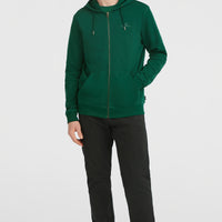 Small Logo Full-Zip Hoodie | Emerald Envy