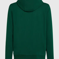Small Logo Full-Zip Hoodie | Emerald Envy