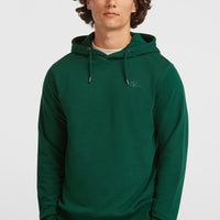Small Logo Hoodie | Emerald Envy