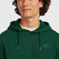 Small Logo Hoodie | Emerald Envy