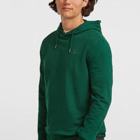 Small Logo Hoodie | Emerald Envy