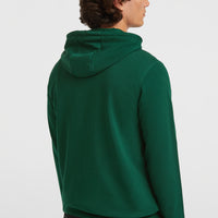 Small Logo Hoodie | Emerald Envy