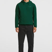 Small Logo Hoodie | Emerald Envy