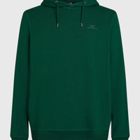 Small Logo Hoodie | Emerald Envy