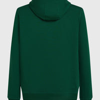 Small Logo Hoodie | Emerald Envy