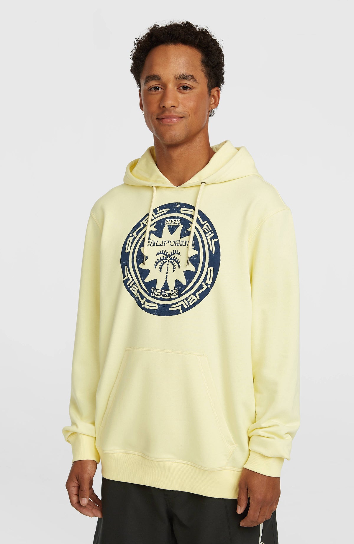 O'Neill Must-Have Graphic Hoodie | Rainforest Dew