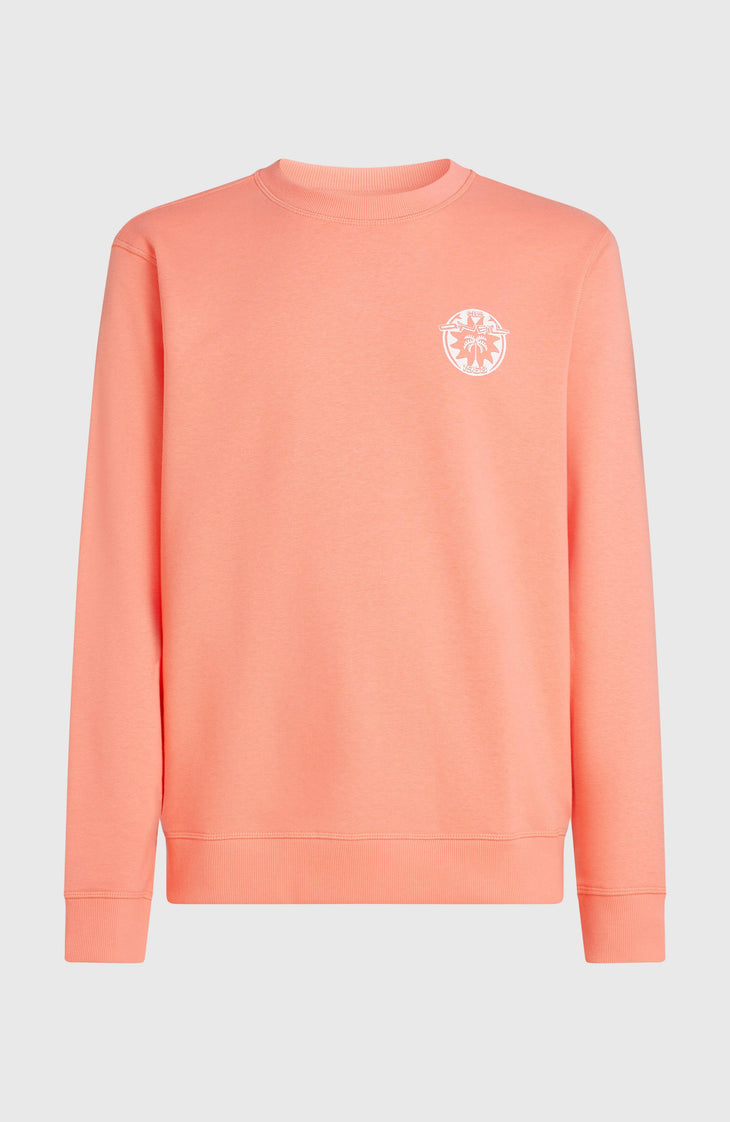 O'Neill Must-Have Graphic Crew Sweatshirt | Funky Peach