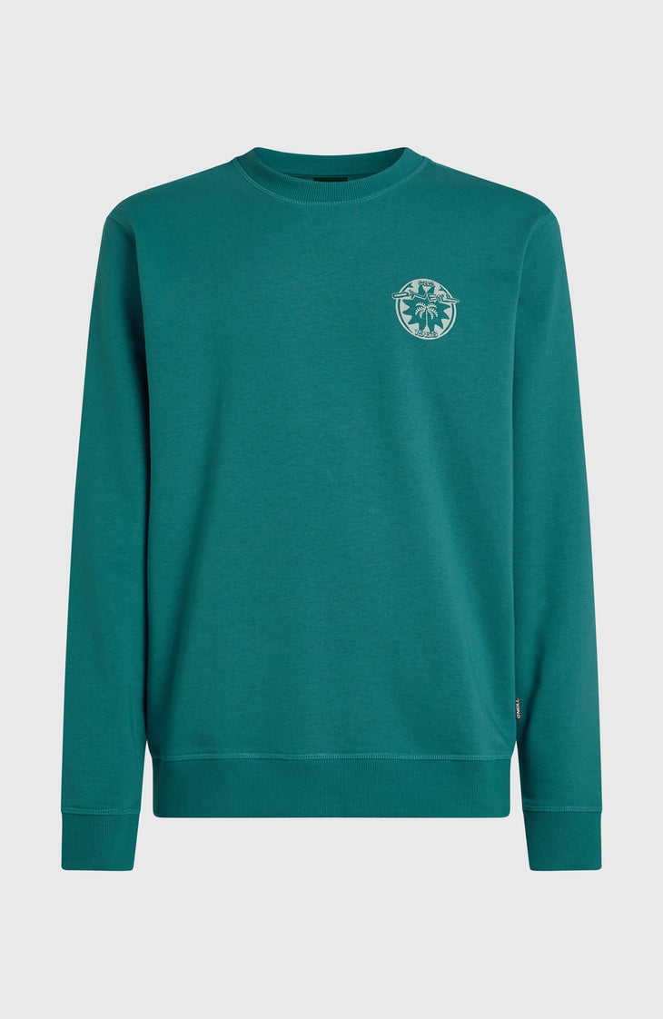 O'Neill Must-Have Graphic Crew Sweatshirt | Botanical Heat
