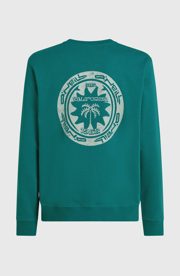 O'Neill Must-Have Graphic Crew Sweatshirt | Botanical Heat