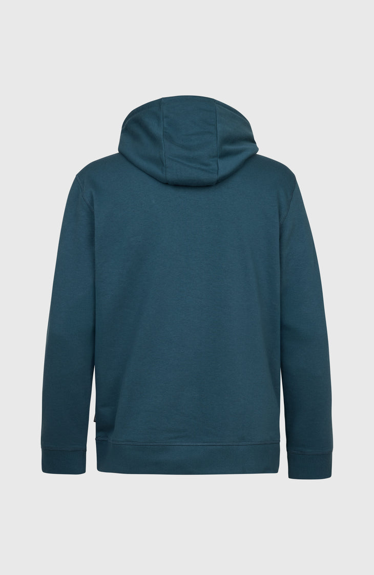 O'Neill California Graphic Hoodie | Alma Steel