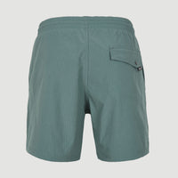 Vert Camorro 16'' Swim Shorts | North Atlantic