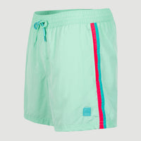 Vert Retro 14'' Swim Shorts | Beach Glass