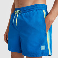 Vert Retro 14'' Swim Shorts | Princess Blue