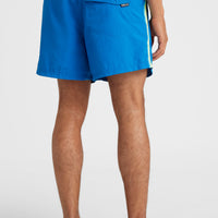 Vert Retro 14'' Swim Shorts | Princess Blue