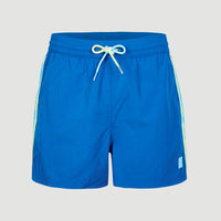 Vert Retro 14'' Swim Shorts | Princess Blue