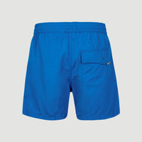 Vert Retro 14'' Swim Shorts | Princess Blue