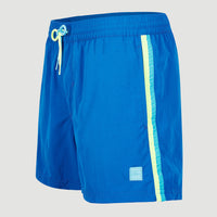 Vert Retro 14'' Swim Shorts | Princess Blue