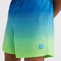 Cali Gradient 15'' Swim Shorts | Dark Blue Simple Gradient