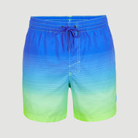 Cali Gradient 15'' Swim Shorts | Dark Blue Simple Gradient