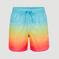 Cali Gradient 15'' Swim Shorts | Light Blue Simple Gradient