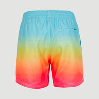 Cali Gradient 15'' Swim Shorts | Light Blue Simple Gradient