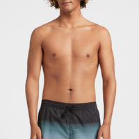 Cali Gradient 15'' Swim Shorts | Black Simple Gradient