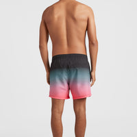 Cali Gradient 15'' Swim Shorts | Black Simple Gradient