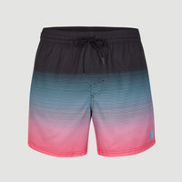 Cali Gradient 15'' Swim Shorts | Black Simple Gradient