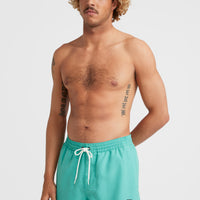 Cali State 15'' Swim Shorts | Sea Green