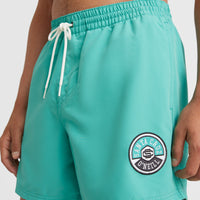 Cali State 15'' Swim Shorts | Sea Green