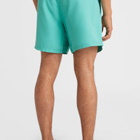 Cali State 15'' Swim Shorts | Sea Green