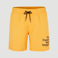 Cali FSS 16'' Swim Shorts | Nugget