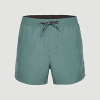 Coast 14'' Swim Shorts | North Atlantic