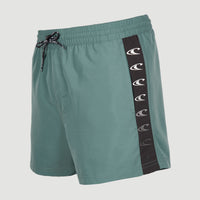 Coast 14'' Swim Shorts | North Atlantic