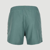 Coast 14'' Swim Shorts | North Atlantic