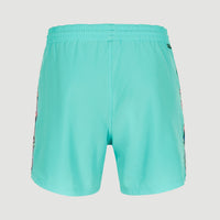 Coast Ocean 15'' Swim Shorts | Blue Topaz