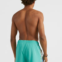 Coast Ocean 15'' Swim Shorts | Sea Green