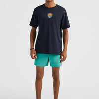 Coast Ocean 15'' Swim Shorts | Sea Green