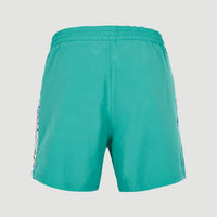 Coast Ocean 15'' Swim Shorts | Sea Green