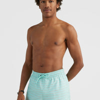 Cali First 15'' Swim Shorts | Light Blue First In