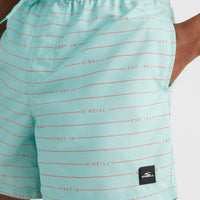 Cali First 15'' Swim Shorts | Light Blue First In