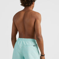 Cali First 15'' Swim Shorts | Light Blue First In