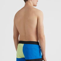 Wilder Colourblock 16'' Swim Shorts | Princess Blue Colour Block