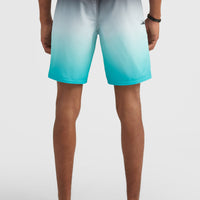 Heat Fade 19'' Boardshorts | Black Out