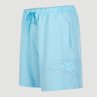 Cali Ocean 16'' Swim Shorts | Blue Topaz