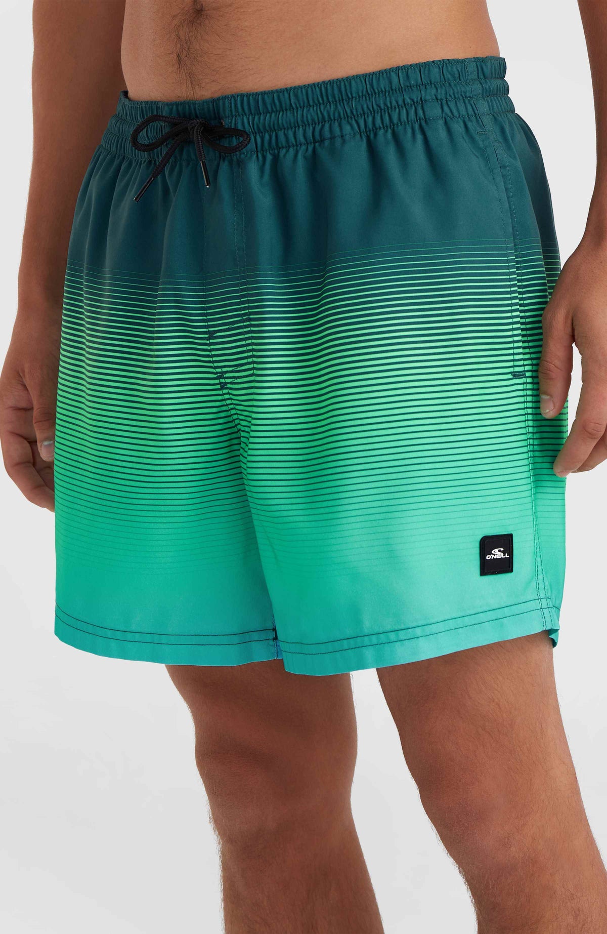 Jack O'Neill Cali Gradient 15'' Swim Shorts | Beetle Juice Simple Gradient Panel